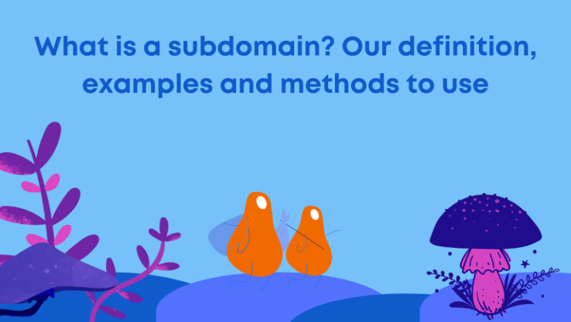 What is a subdomain? Our definition, examples, and methods to use