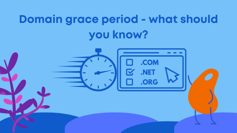 Domain grace period - what should you know?