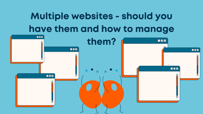 Multiple websites - should you have them and how to manage them?