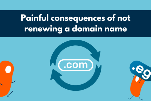 Painful consequences of not renewing a domain name – cases, risks and best practices
