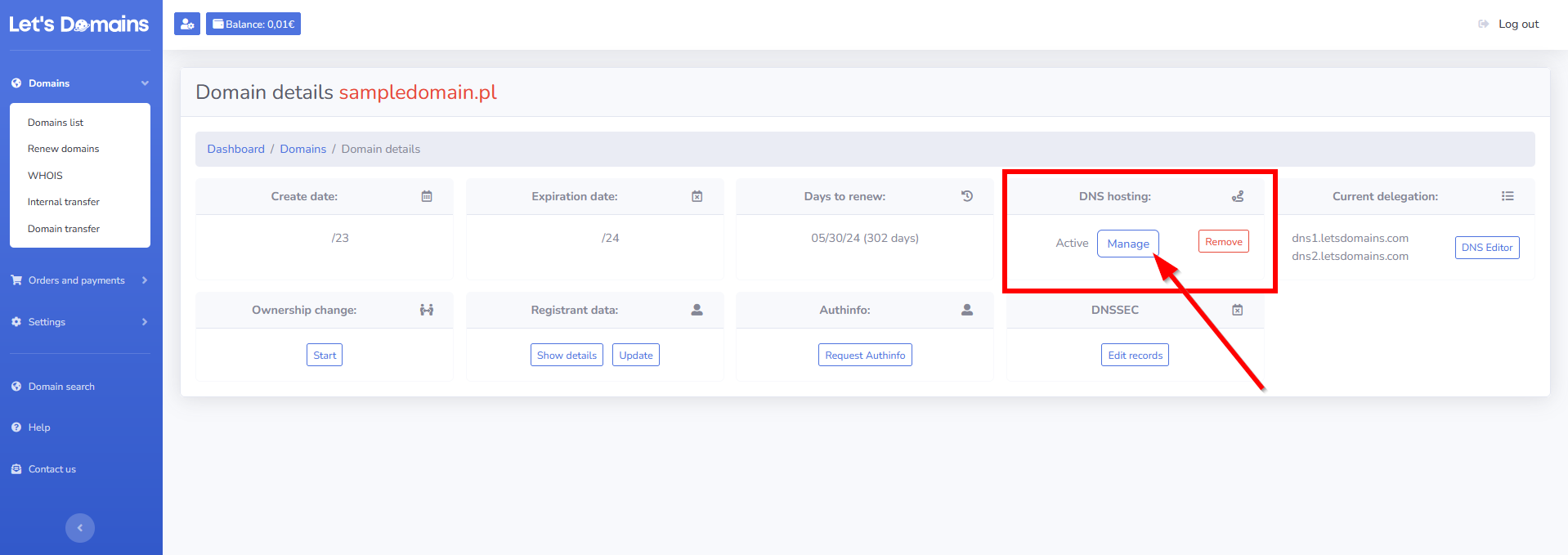 domain details Lets Domains Manager