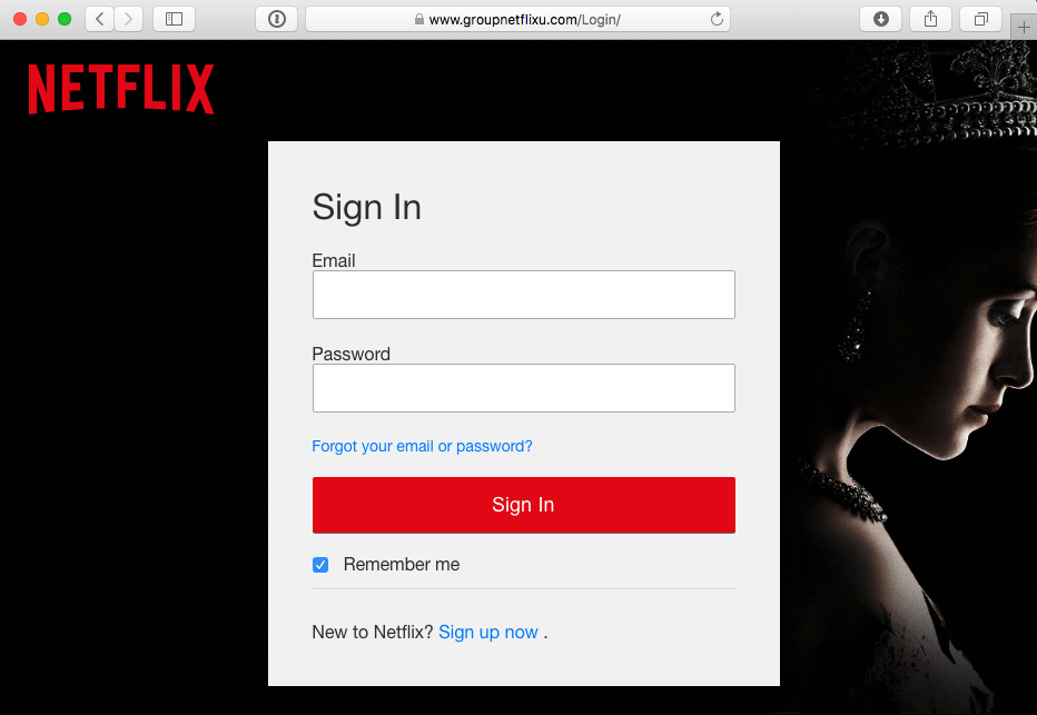 phishing-netflix-and-fake-domain